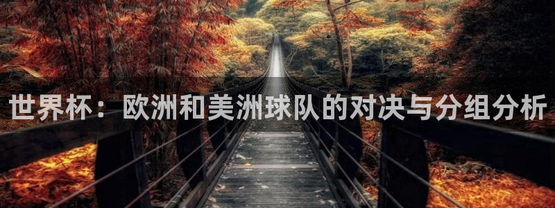 世界杯赛程表2026：世界杯：欧洲和美洲球队的对决与分组分析