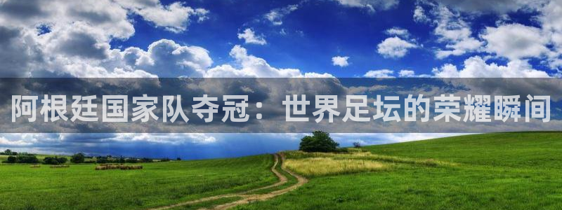 世界杯48支球队赛制：阿根廷国家队夺冠：世界足坛的荣耀瞬间
