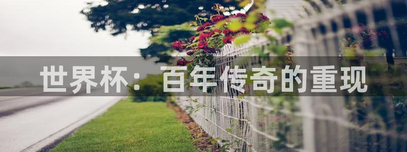 欧洲区世界杯预选赛：世界杯：百年传奇的重现