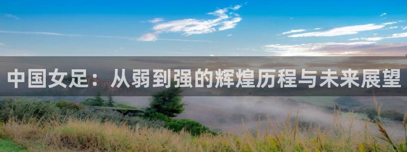 预选赛世界杯：中国女足：从弱到强的辉煌历程与未来展望