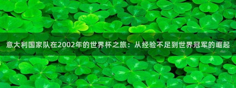 世界杯第一场比赛：意大利国家队在2002年的世界杯之旅：从经验不足到世界冠军的崛起