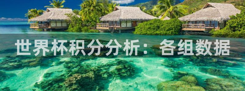 2026世界杯足球赛程时间表：世界杯积分分析：各组数据