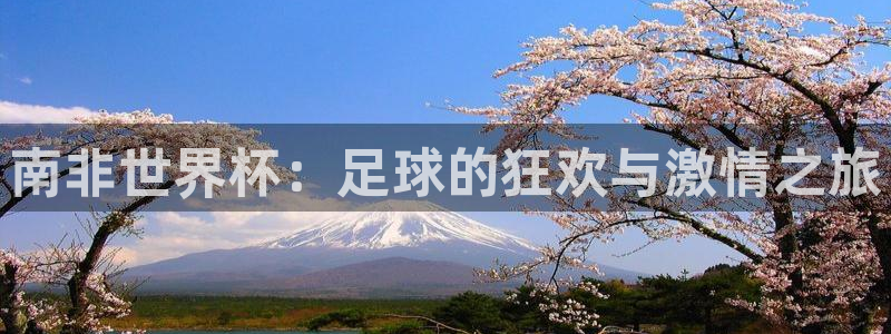 2026年世界杯赛程：南非世界杯：足球的狂欢与激情之旅