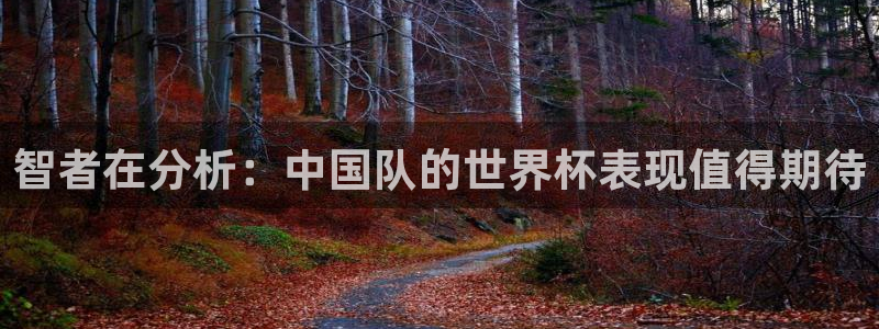 世界杯欧洲区世预赛赛程：智者在分析：中国队的世界杯表现值得期待