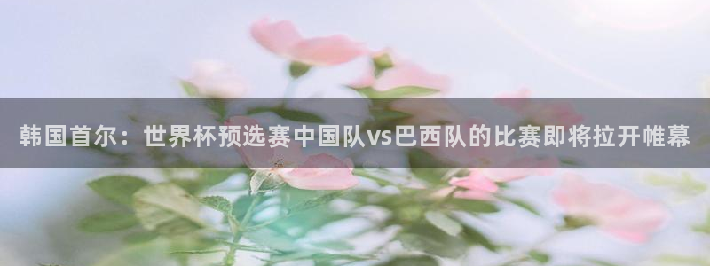 世界杯直播在线观看入口：韩国首尔：世界杯预选赛中国队vs巴西队的比赛即将拉开帷幕