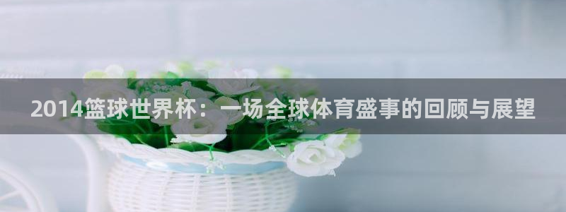 世界杯对阵表：2014篮球世界杯：一场全球体育盛事的回顾与展望