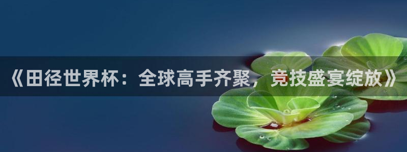 世界杯 赛程：《田径世界杯：全球高手齐聚，竞技盛宴绽放》