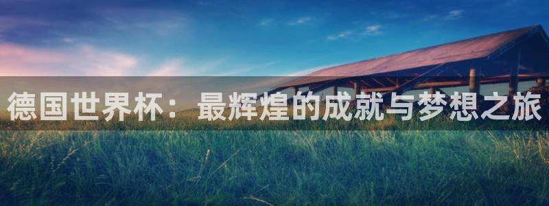 世界杯 直播：德国世界杯：最辉煌的成就与梦想之旅