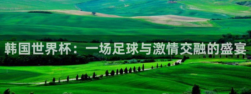2026世预赛赛程：韩国世界杯：一场足球与激情交融的盛宴