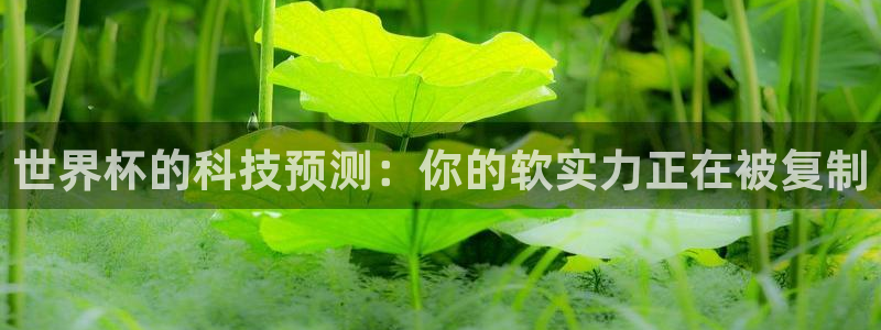 世界杯预选赛赛程时间表：世界杯的科技预测：你的软实力正在被复制